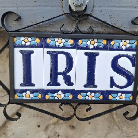 Blue Iris